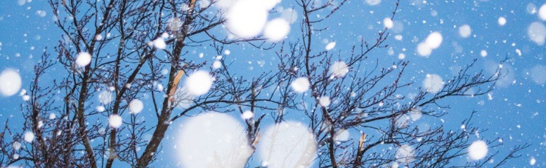 snowfall in korea