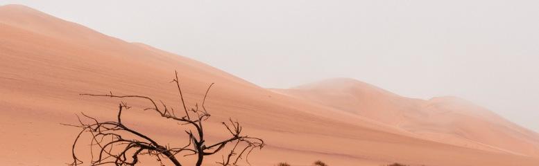 rain in saudi arabia