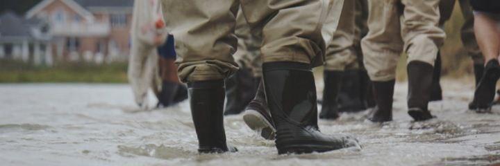 Flood