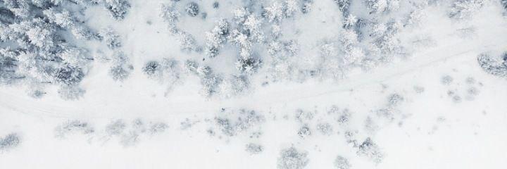Rostov region