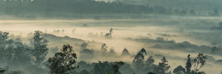 Cameroon