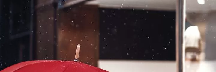 Egay