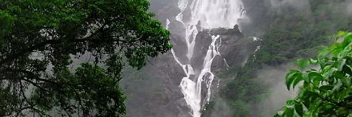 goa