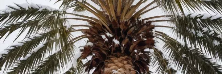 Abkhazia