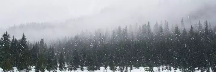Sakhalin
