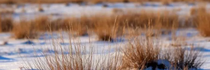 Kazakhstan
