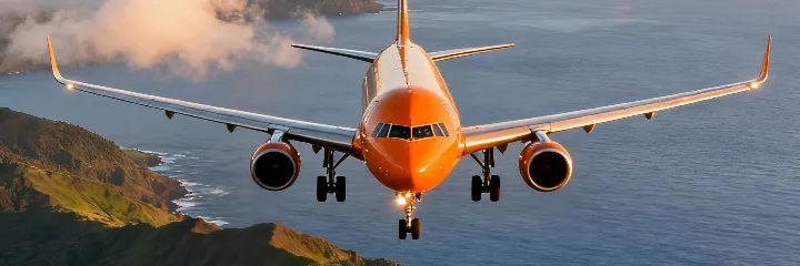 Plane over the sea