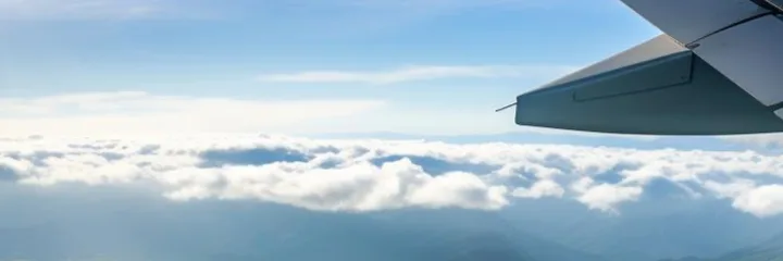 Plane over the forests